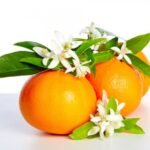 CITRUS SINENSIS (ORANGER)